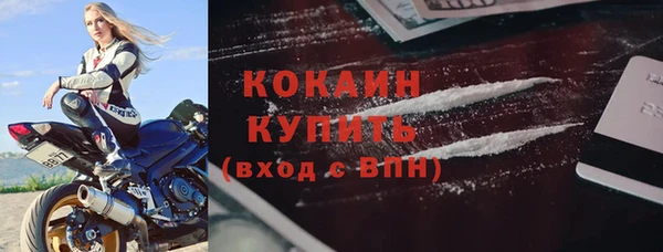 гидра Семилуки