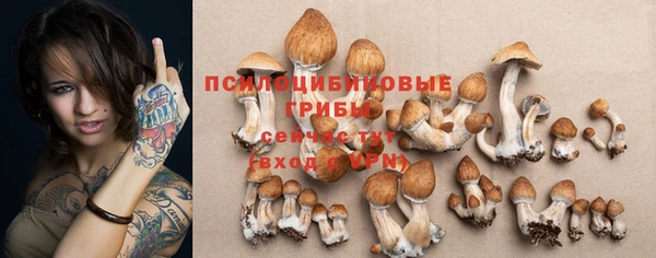 винт Алзамай