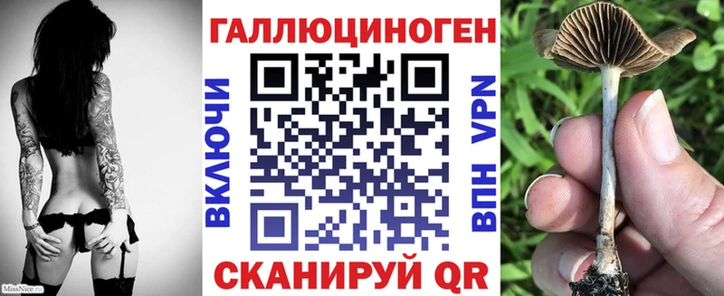 Галлюциногенные грибы Magic Shrooms  это какой сайт  Межгорье 